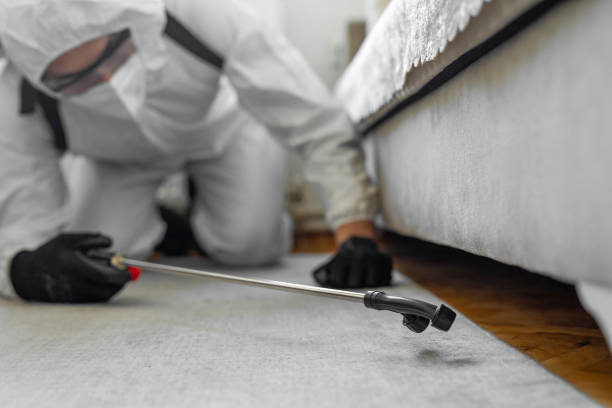 Professional Bed Bug Control technician working in Plumsteadville, PA