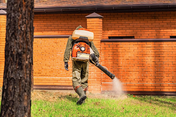 Trusted Termite Control service in Plumsteadville, PA - Nex Pest Control